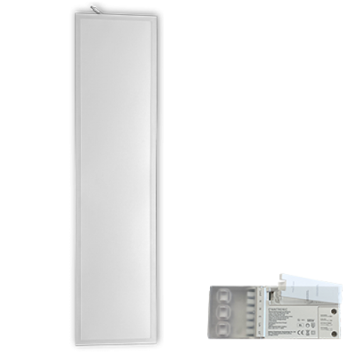 30W 3,600lm 300 x 1200mm LED Panel with 3-Hour Emergency